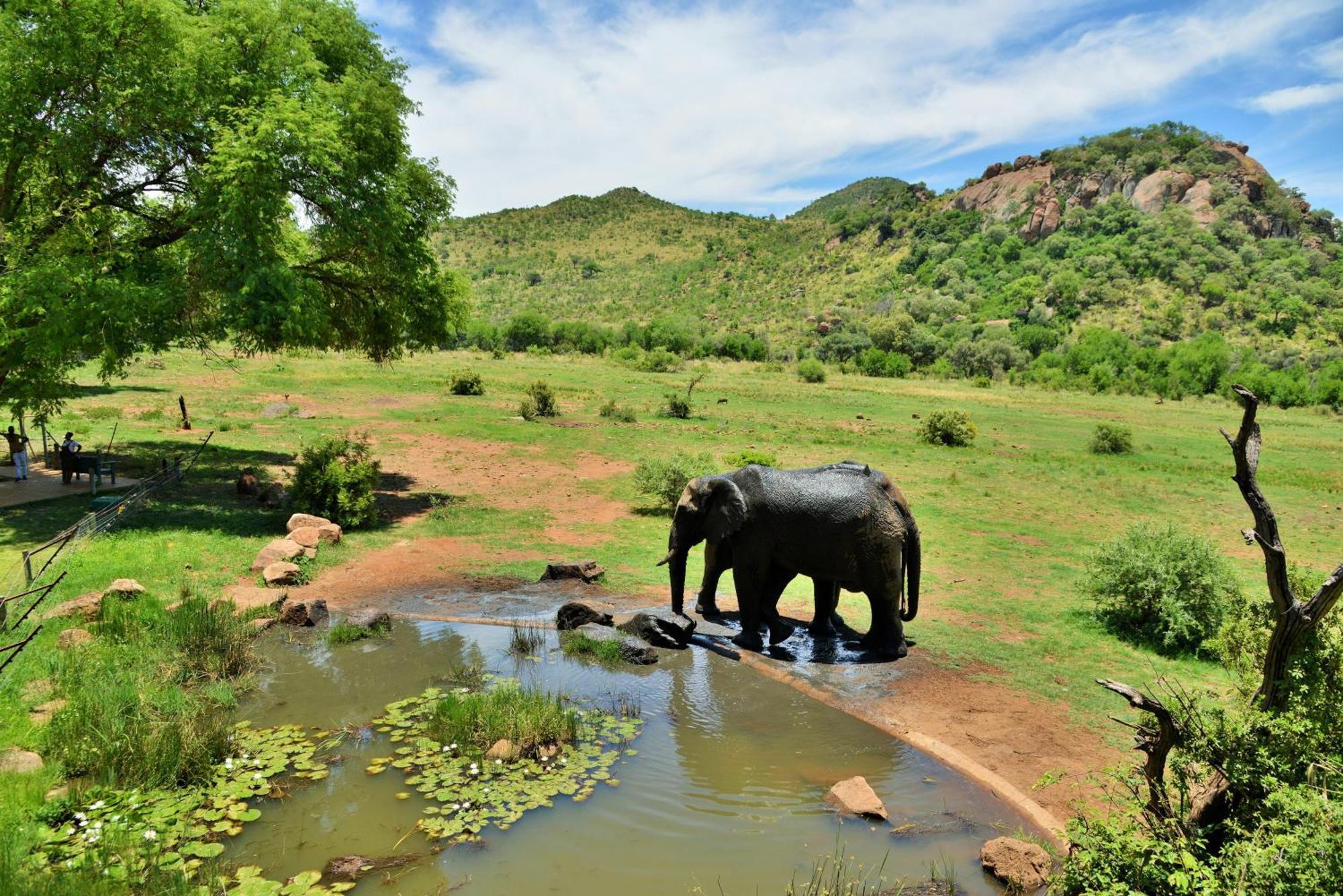 Kwa Maritane Lodge Ledig Dış mekan fotoğraf