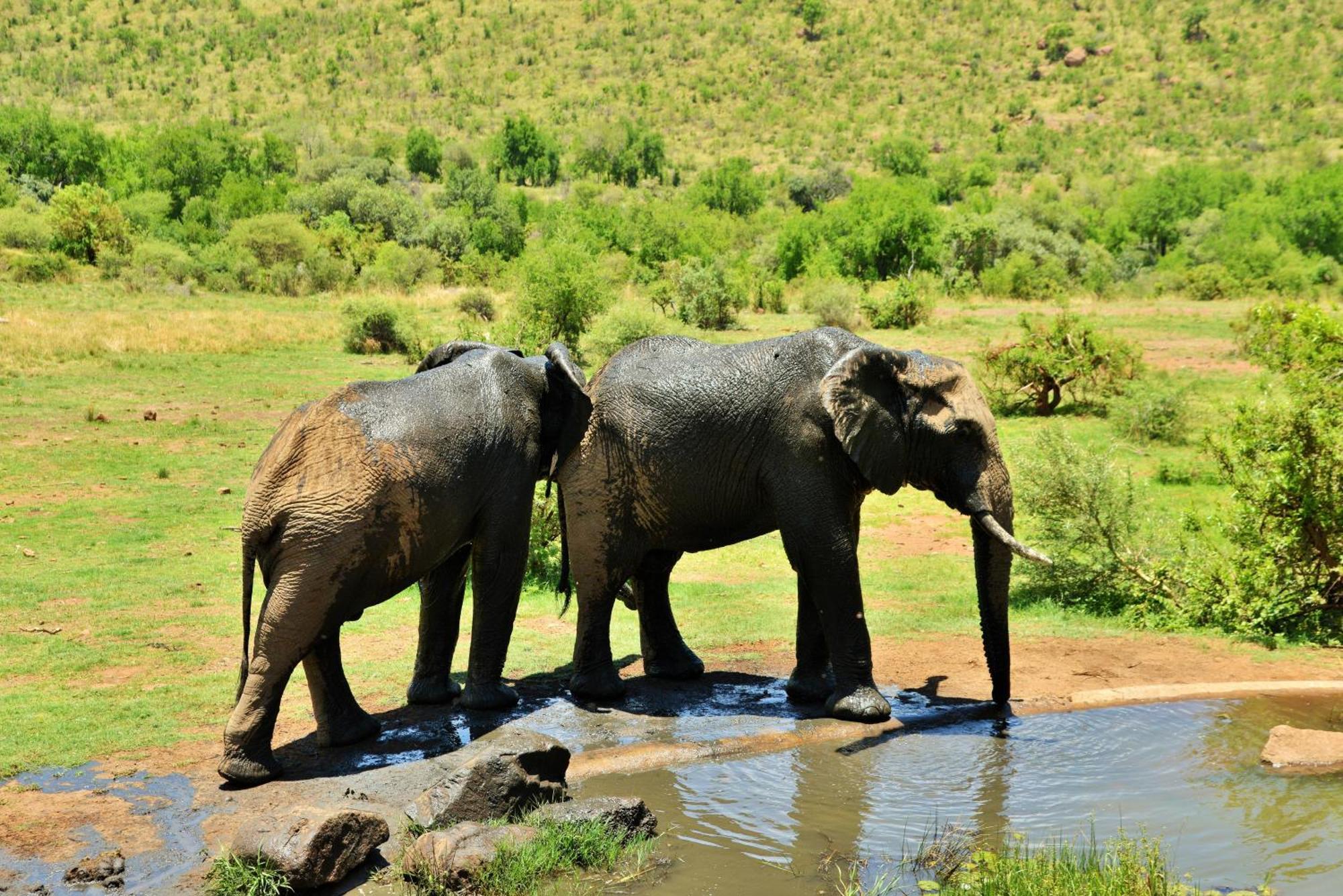 Kwa Maritane Lodge Ledig Dış mekan fotoğraf