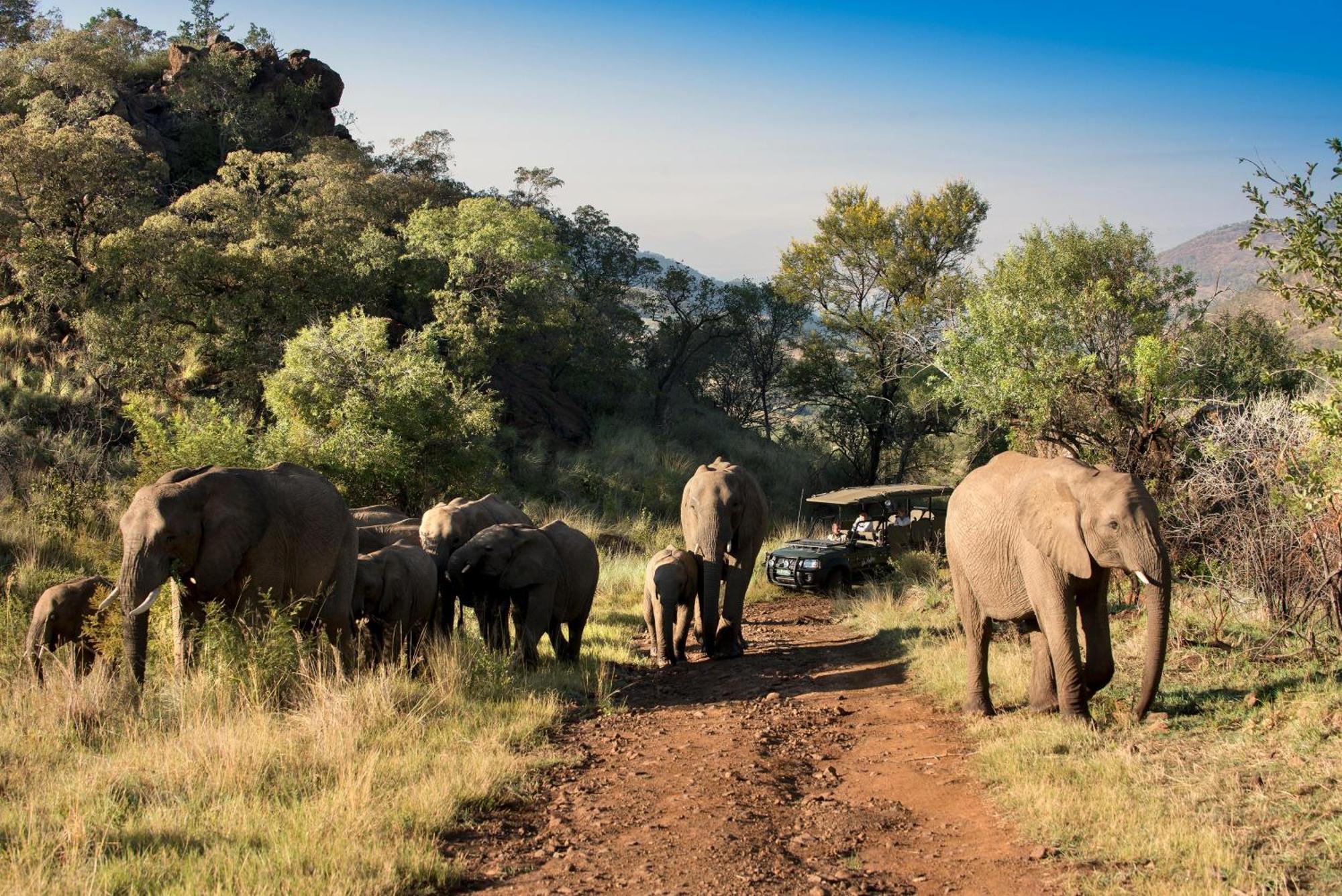 Kwa Maritane Lodge Ledig Dış mekan fotoğraf